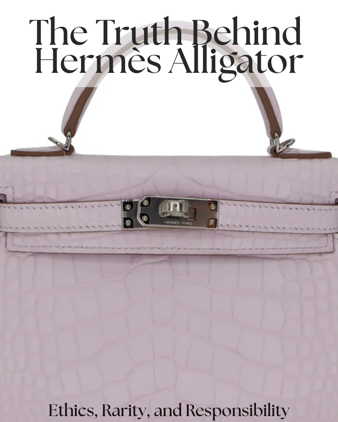 Privé Porter’s Guide To: The Truth Behind Hermès Alligator — Ethics, Rarity, and Responsibility