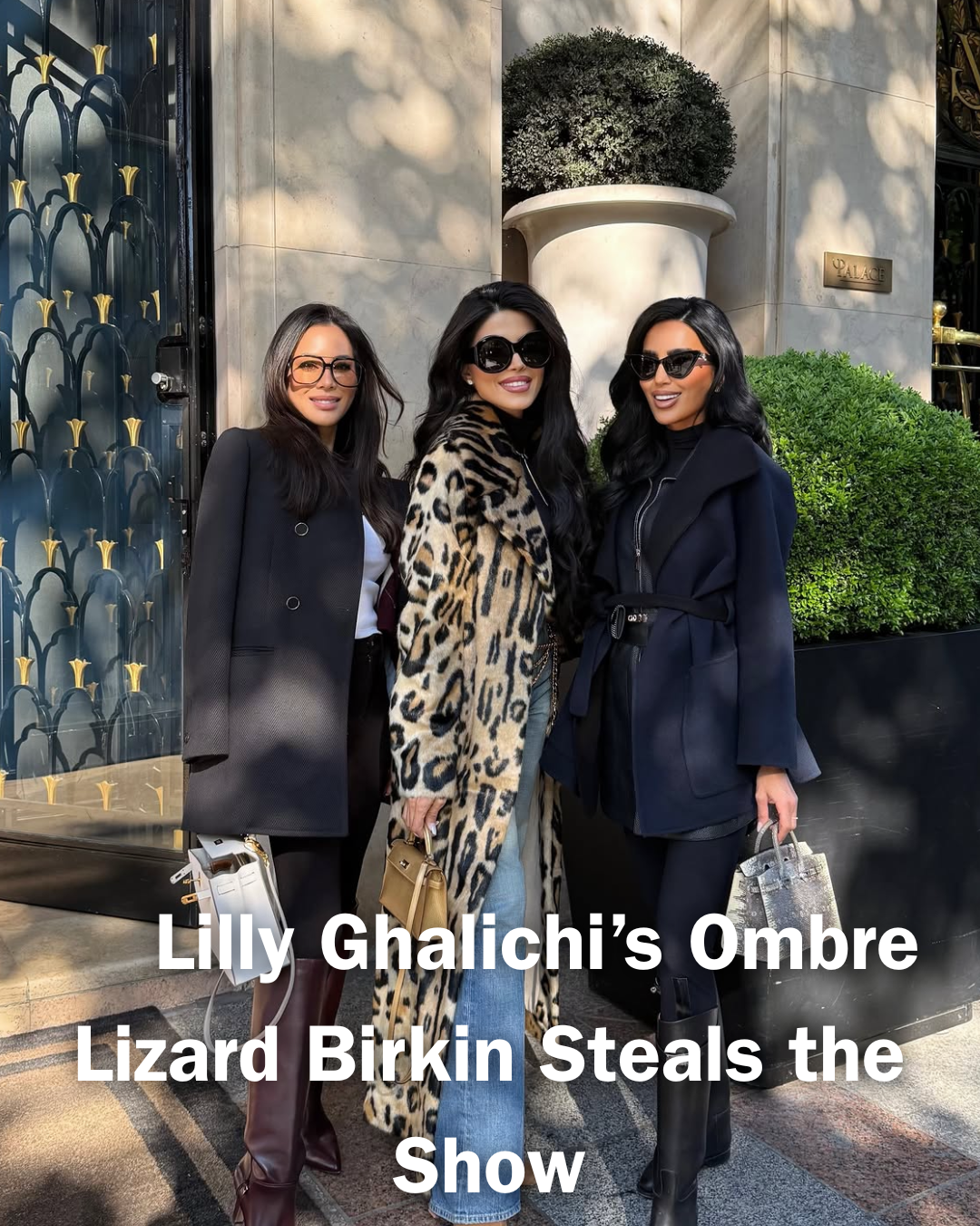 Privé Porter’s Guide To: Craie, Doré, and Ombre Lizard