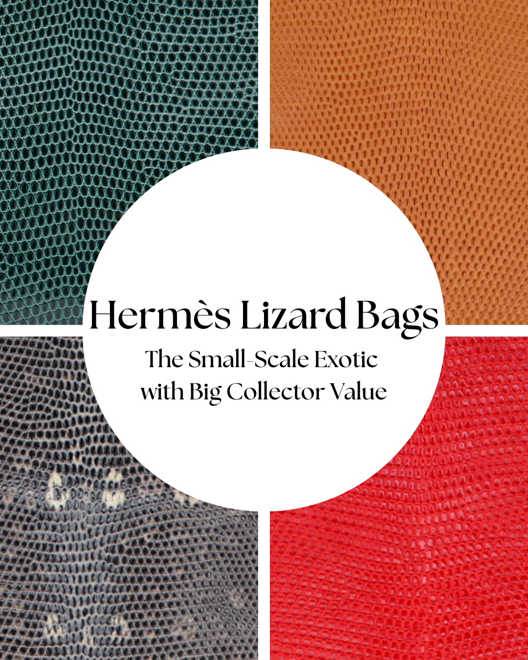 Hermès Lizard Bags: The Small-Scale Exotic with Big Collector Value