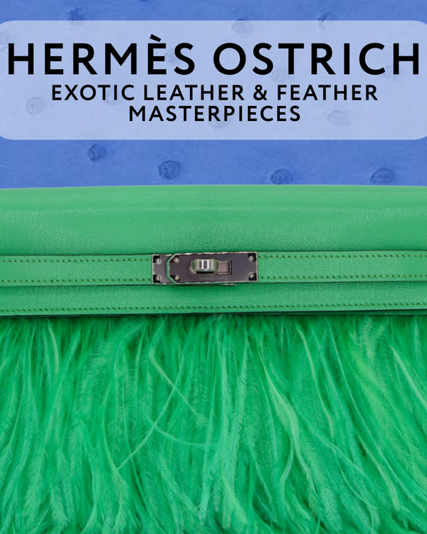 Hermès Ostrich: Exotic Leather & Feather Masterpieces