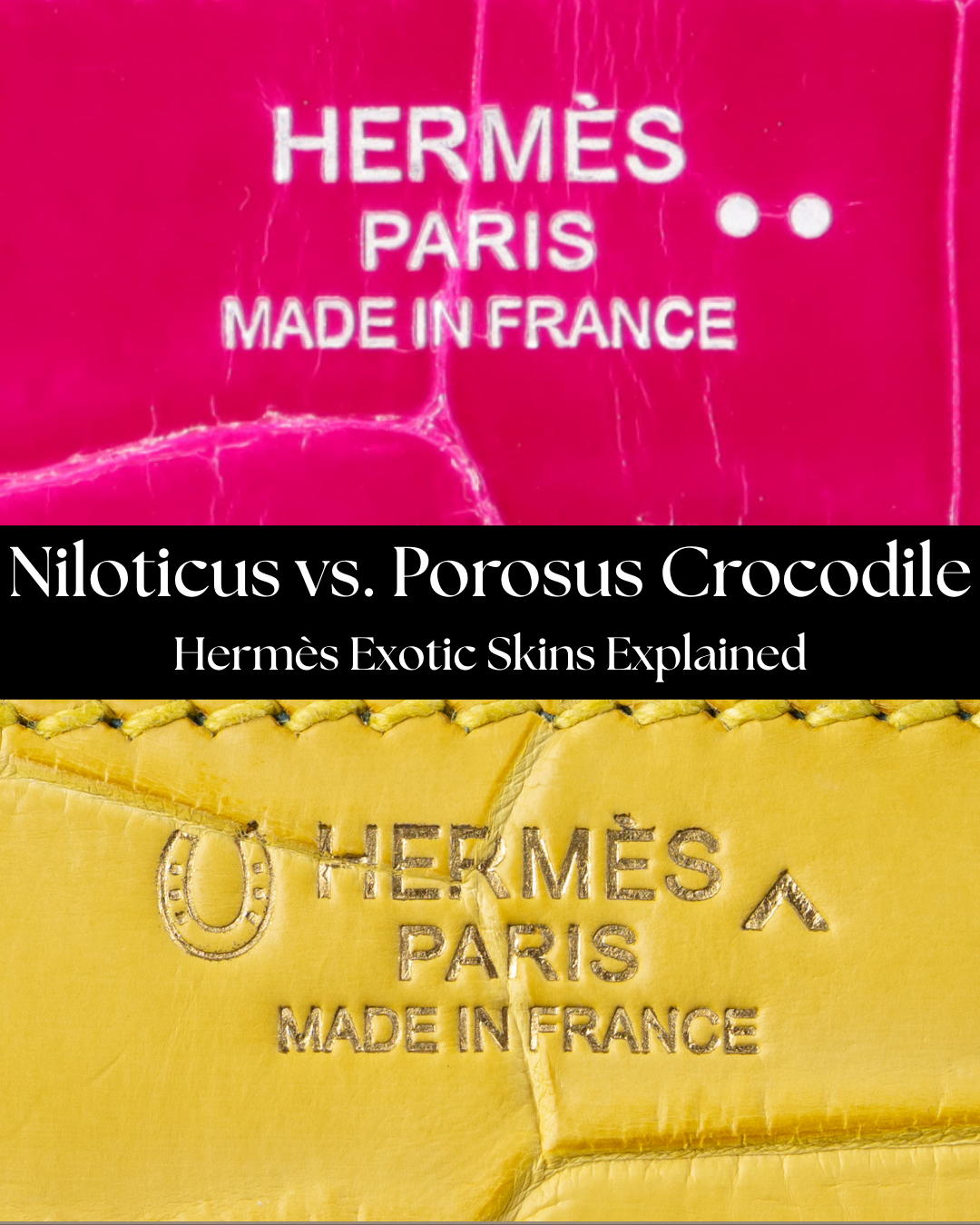 Niloticus vs. Porosus Crocodile: Hermès Exotic Skins Explained