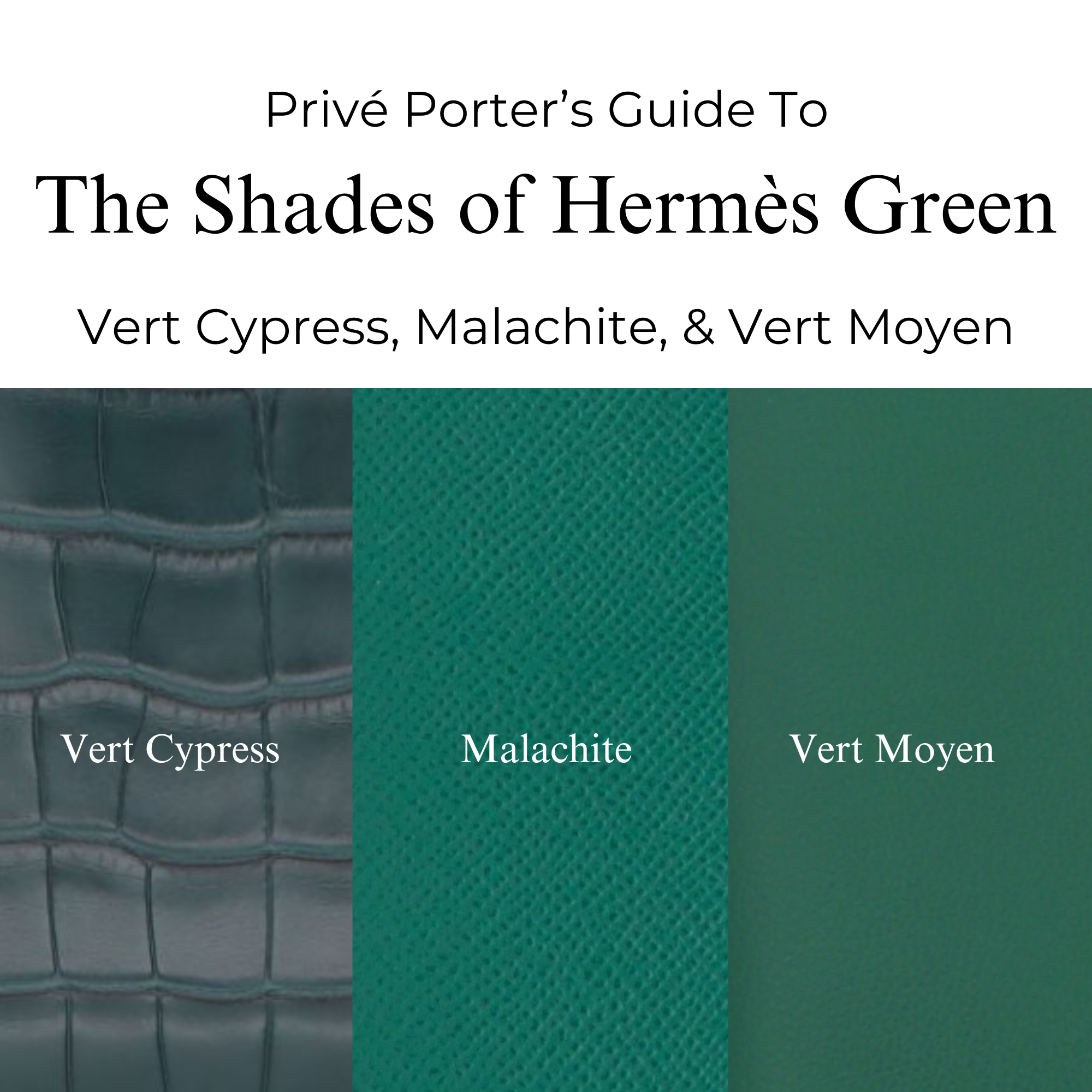 Privé Porter’s Guide To: The Power of Green — Exploring Hermès’ Most Coveted Dark Green Shades