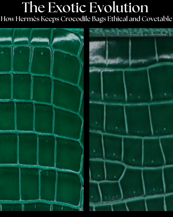 Privé Porter’s Guide To: The Exotic Evolution — How Hermès Keeps Crocodile Bags Ethical and Covetable