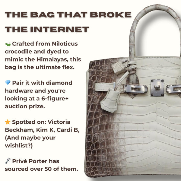 The Bag That Broke the Internet: Inside the Hype of the Hermès Himalaya Birkin