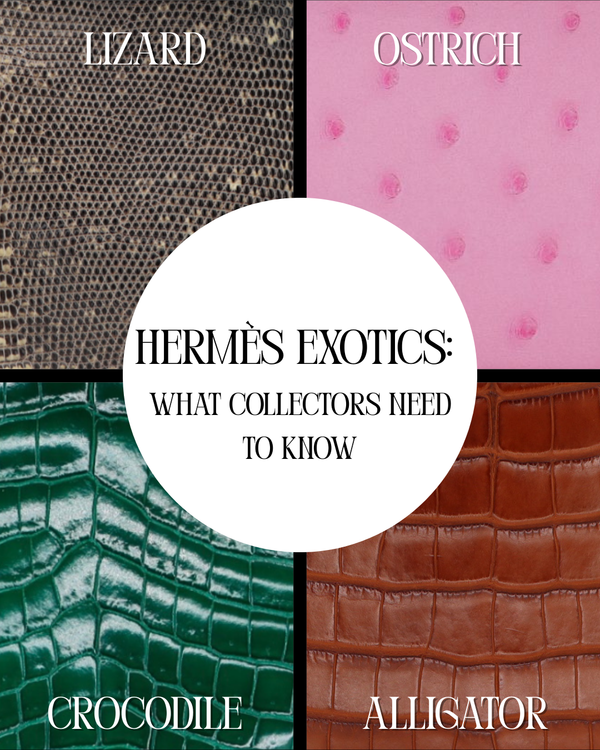 Hermès Exotics: Crocodile, Alligator, Lizard & Ostrich — What Collectors Need to Know