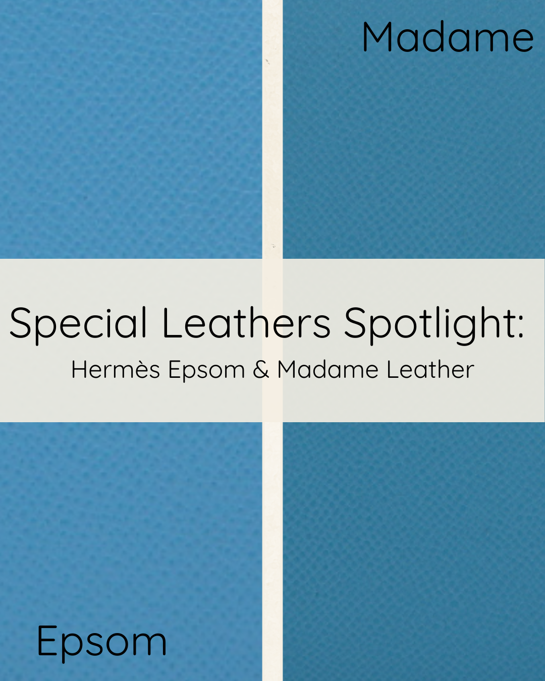 Special Leathers Spotlight: Hermès Epsom & Madame Leather