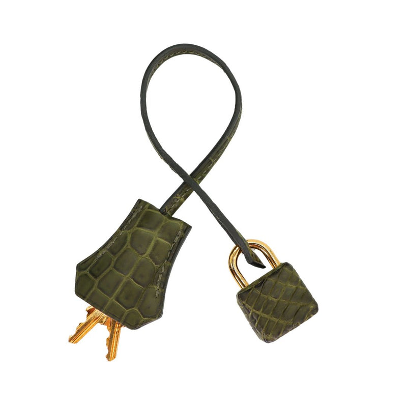 Hermès 30cm Birkin Canopee Matte Niloticus Crocodile Gold Hardware