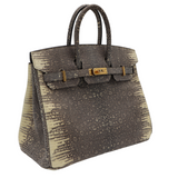 Hermès 25cm Birkin Ombre Lizard Gold Hardware