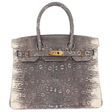 Hermès 30cm Birkin Ombré Shiny Lizard Gold Hardware