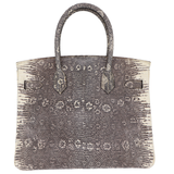 Hermès 30cm Birkin Ombré Shiny Lizard Gold Hardware