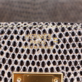 Hermès 30cm Birkin Ombré Shiny Lizard Gold Hardware