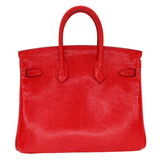 Hermès 25cm Birkin Rouge Exotic Lizard Gold Hardware