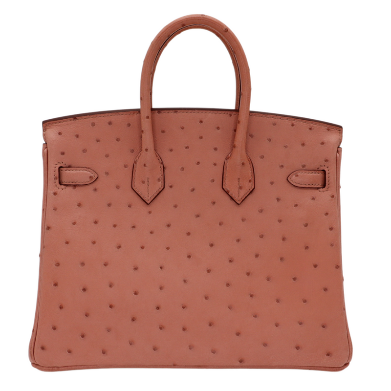 Hermès 25cm Birkin Terre Cuite Ostrich Gold Hardware