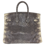 Hermès 25cm Birkin Ombre Lizard Palladium Hardware