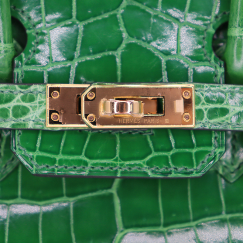 Hermès 25cm Birkin Cactus Shiny Niloticus Crocodile Gold Hardware