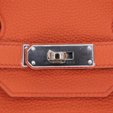 Hermès 35cm Birkin Terre Battue Togo Leather Palladium Hardware