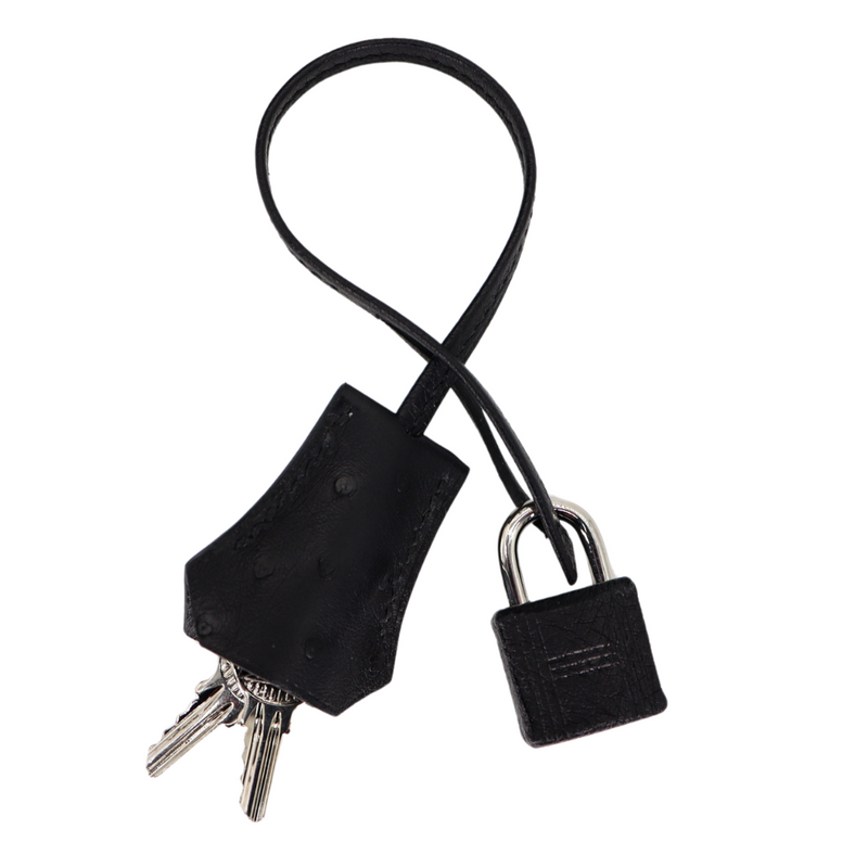 Hermès 30cm Birkin Black Ostrich Palladium Hardware