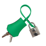 Hermès 25cm Kelly Sellier Vert Comics Epsom Leather Palladium Hardware