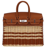 Hermès 25cm Birkin Picnic Striped Gold Swift Palladium Hardware