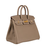 Herm�s 25cm Birkin Etoupe Togo Leather Gold Hardware