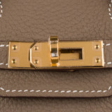 Herm�s 25cm Birkin Etoupe Togo Leather Gold Hardware