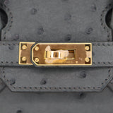 Herm�s 25cm Birkin Vert Amande Ostrich Gold Hardware