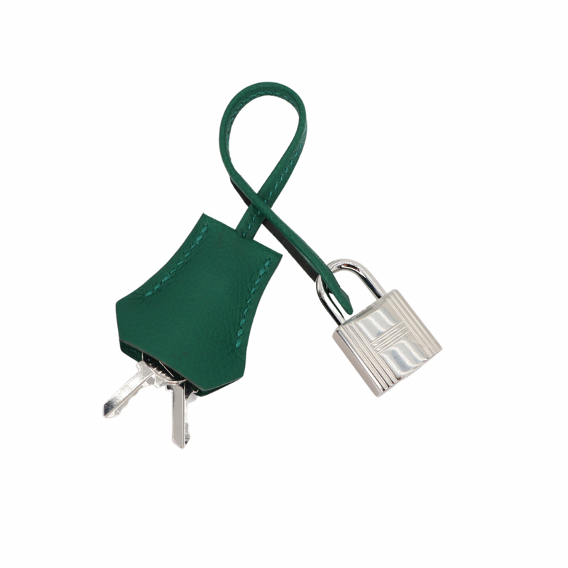 Hermès 29cm Birkin Shoulder Light Vert Moyen Evercolor Leather Palladium Hardware